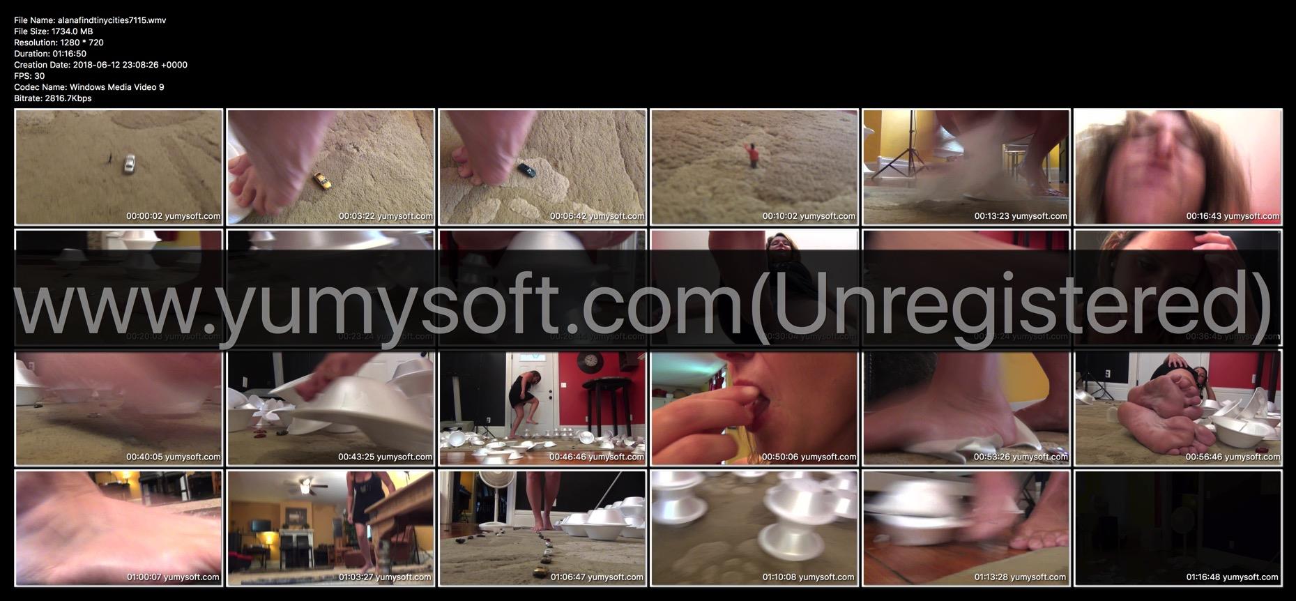 Alana tiny city crush