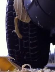 Banana crushed under tire