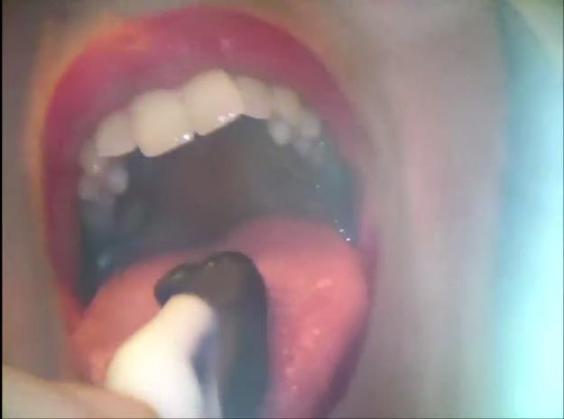 Alandra swallows tasty penguins